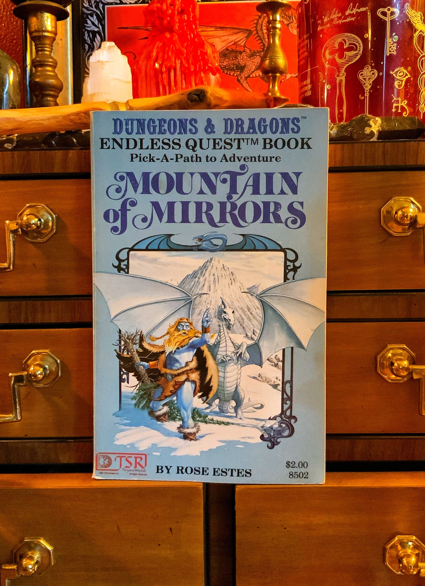 Mountain of Mirrors: An Endless Quest Book #2 by Rose Estes