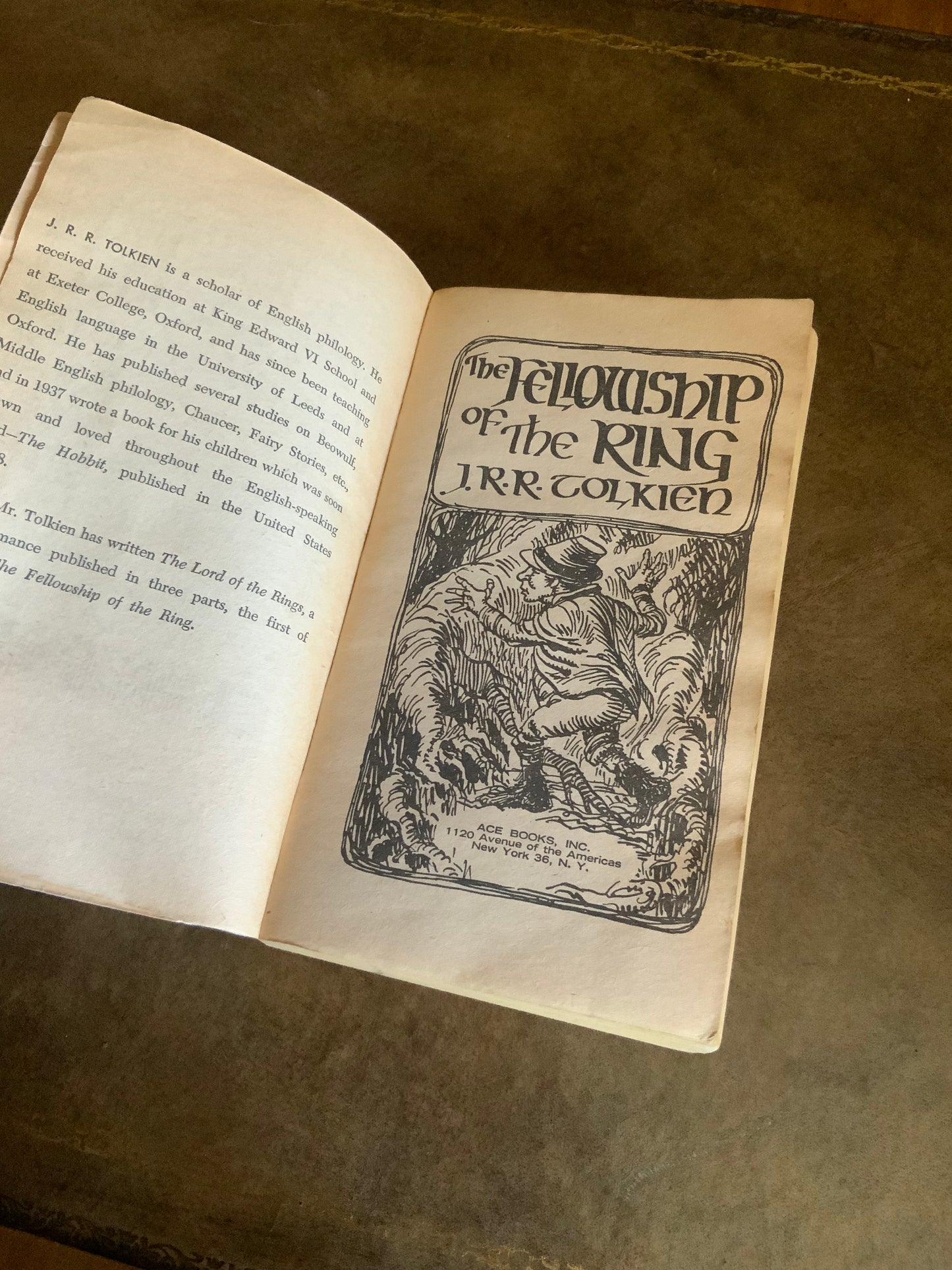 The Lord of the Rings by JRR Tolkien - 1965 Ace paperbacks pirated edition