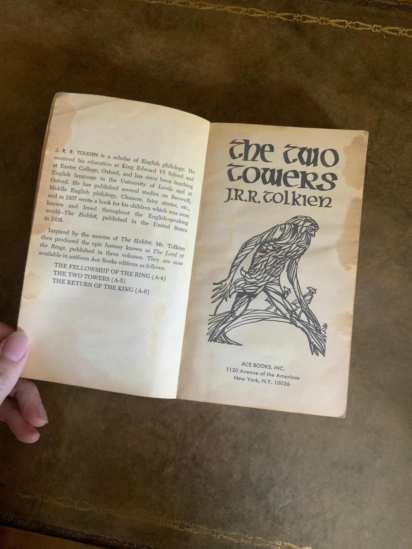 The Lord of the Rings by JRR Tolkien - 1965 Ace paperbacks pirated edition