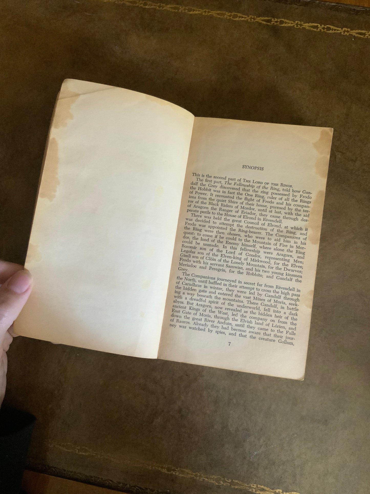 The Lord of the Rings by JRR Tolkien - 1965 Ace paperbacks pirated edition