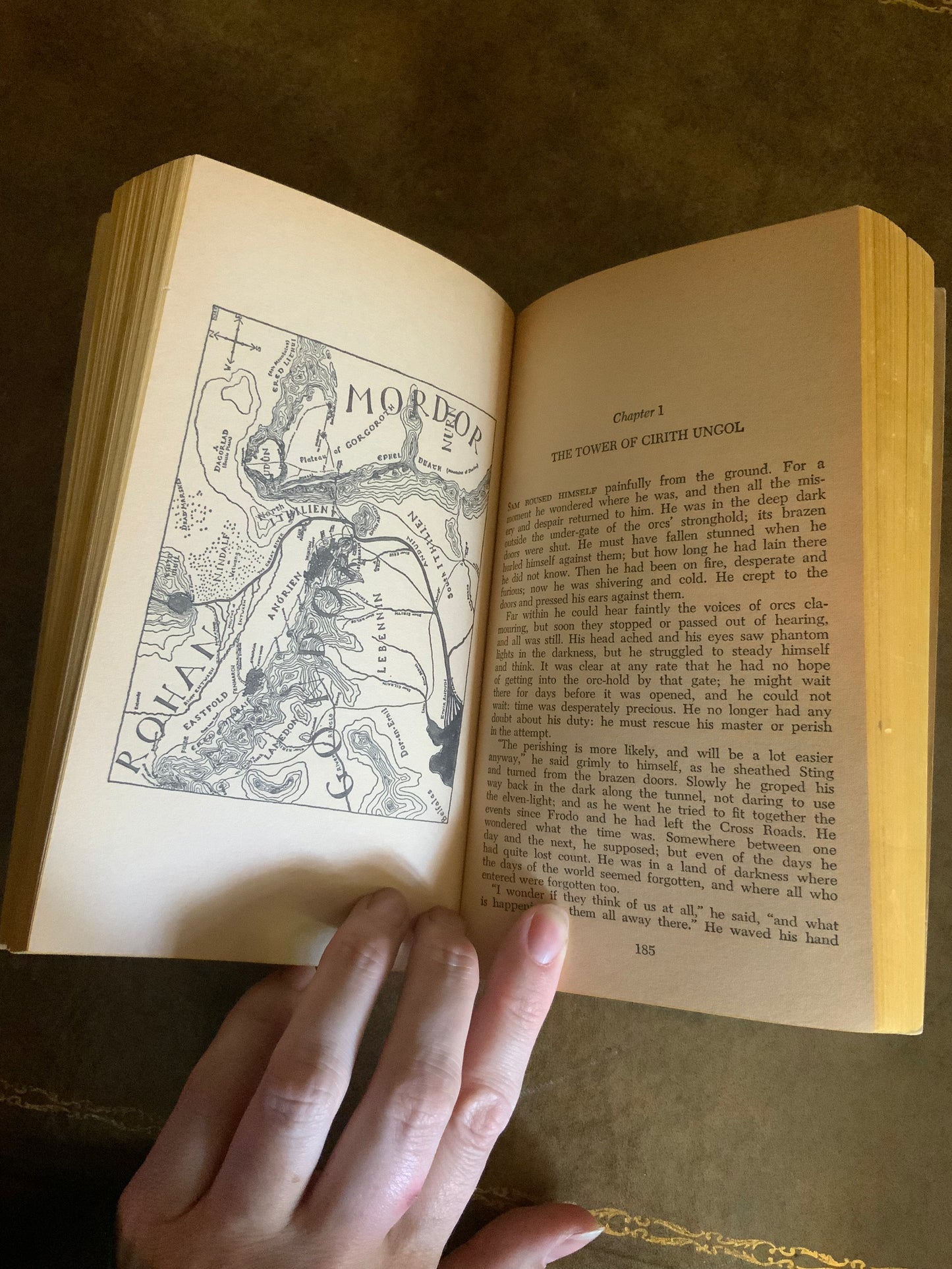 The Lord of the Rings by JRR Tolkien - 1965 Ace paperbacks pirated edition