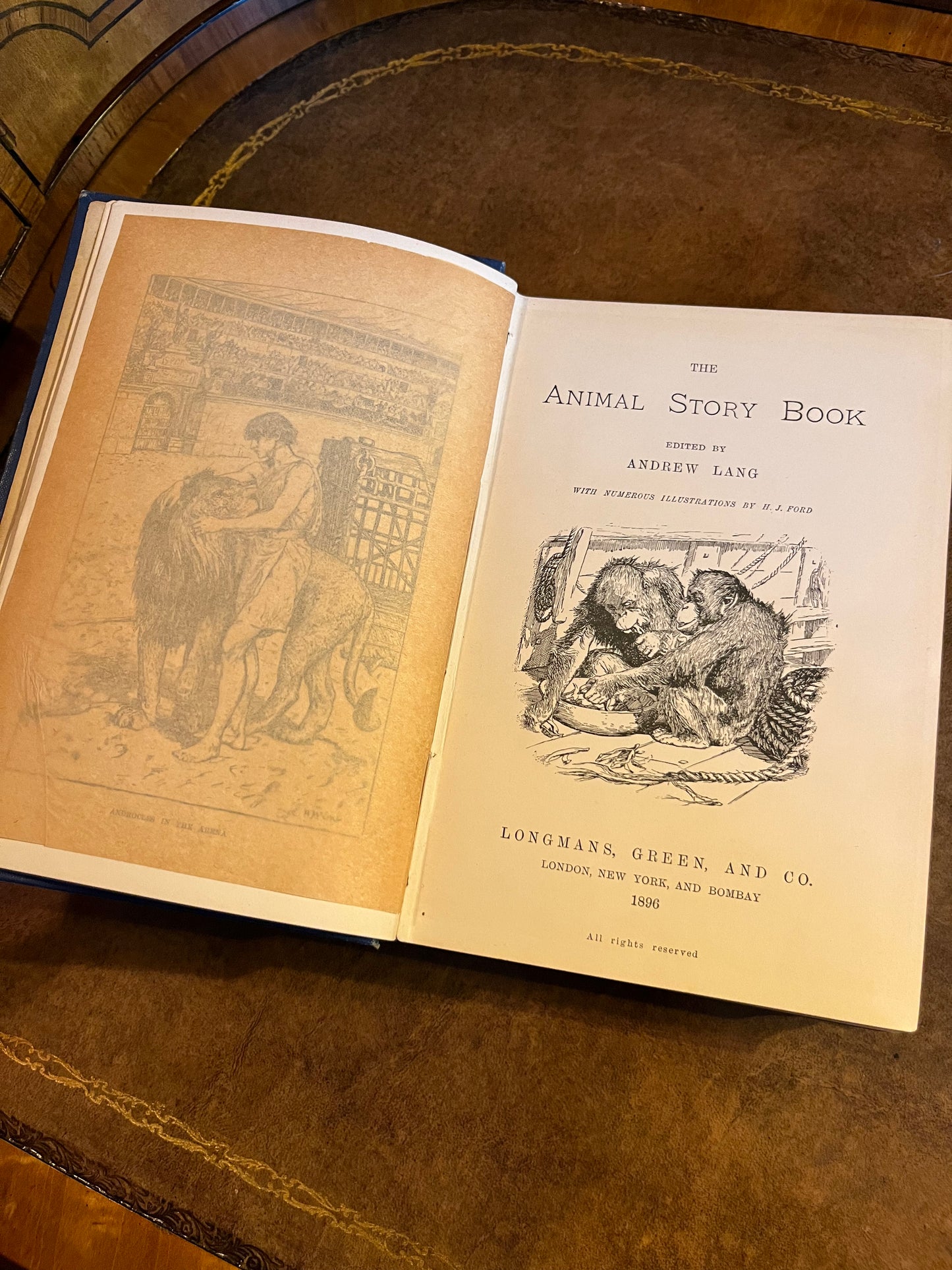 The Animal Story Book - Andrew Lang - First Edition