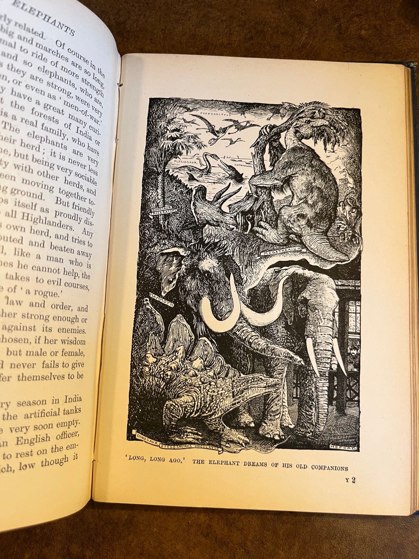 The Animal Story Book - Andrew Lang - First Edition