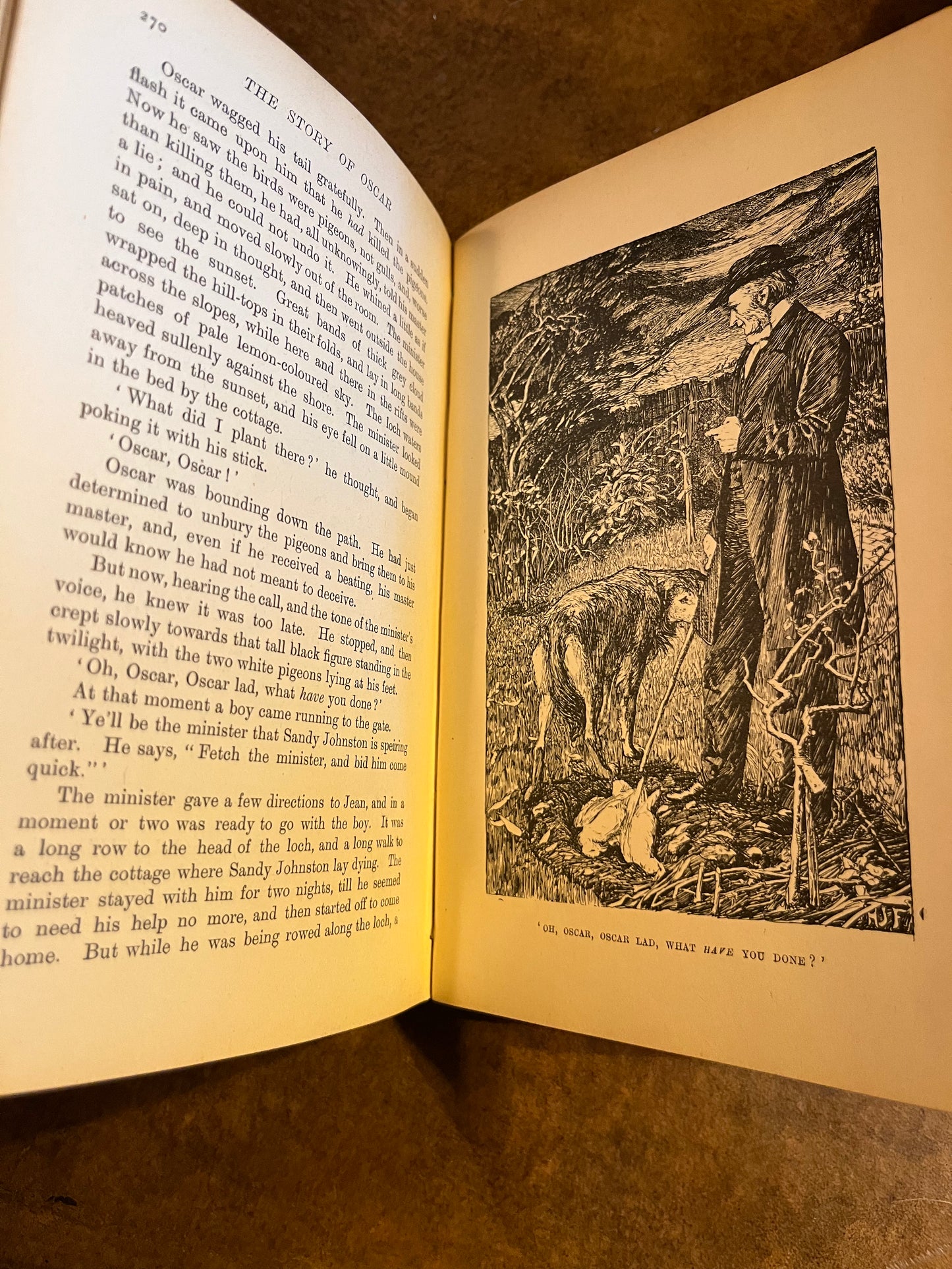 The Animal Story Book - Andrew Lang - First Edition