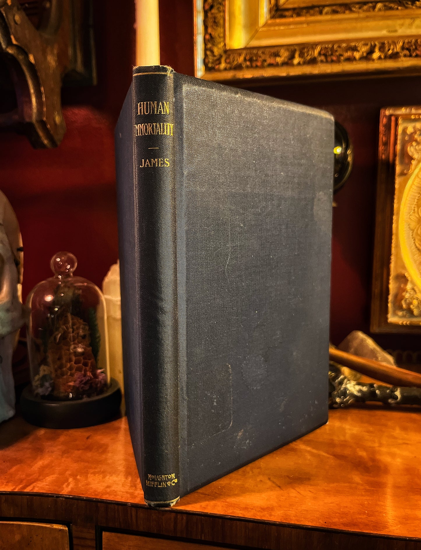 Human immortality by William James - 1898 First Edition
