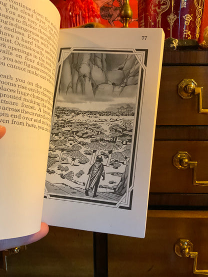 Mountain of Mirrors: An Endless Quest Book #2 by Rose Estes