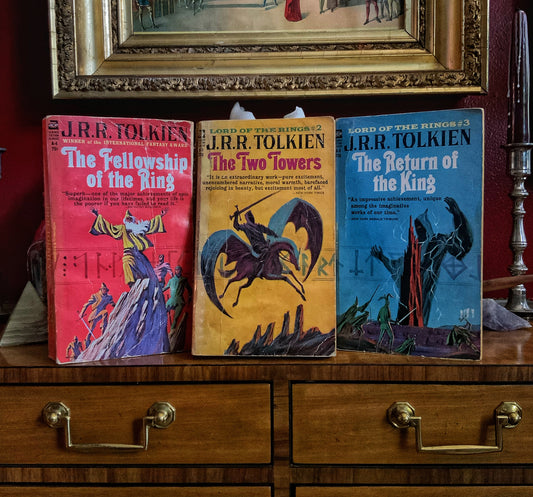 The Lord of the Rings by JRR Tolkien - 1965 Ace paperbacks pirated edition