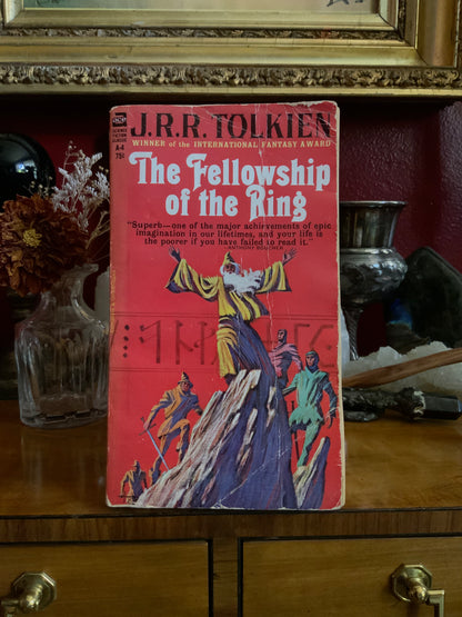 The Lord of the Rings by JRR Tolkien - 1965 Ace paperbacks pirated edition