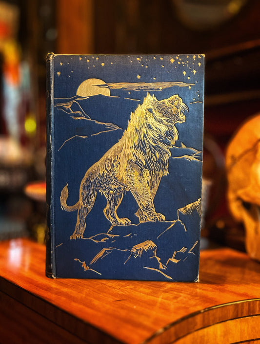 The Animal Story Book - Andrew Lang - First Edition